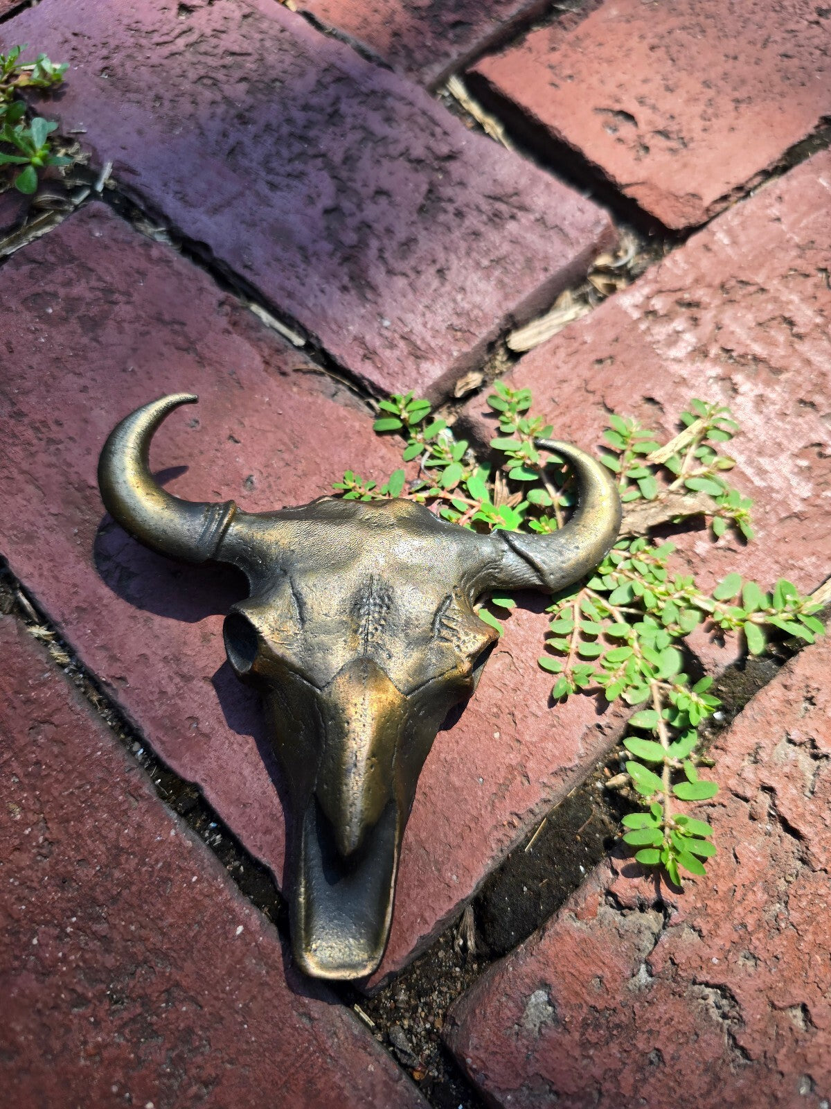 1970s Vintage Brass Longhorn Steer Belt Buckle